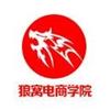 狼窩電商VIP教程