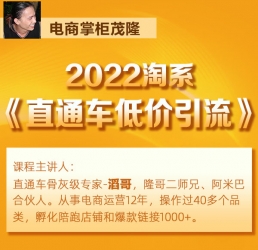 電商掌柜茂隆2022直通車低價引流玩法課程（直通車低價引流技術茂?。? width=